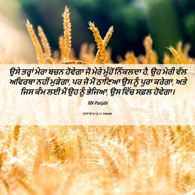 Picture 06 - ਯਸਾਯਾਹ 55:11 PANIRV - ਉਸੇ ਤਰ੍ਹਾਂ ਮੇਰਾ - Bible Verse Picture
