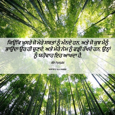Picture 06 - ਯਸਾਯਾਹ 56:4 PANIRV - ਕਿਉਂਕਿ ਖੁਸਰੇ ਜੋ - Bible Verse Picture