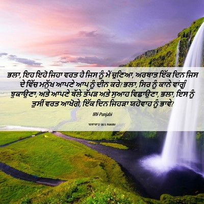 Picture 06 - ਯਸਾਯਾਹ 58:5 PANIRV - ਭਲਾ, ਇਹ ਇਹੋ ਜਿਹਾ - Bible Verse Picture