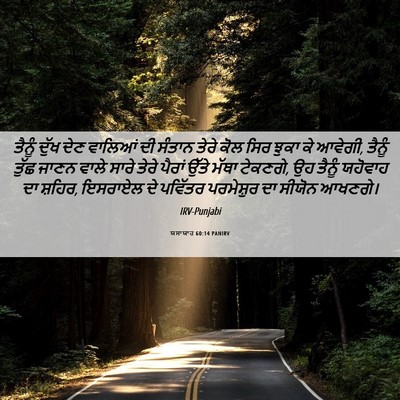 Picture 06 - ਯਸਾਯਾਹ 60:14 PANIRV - ਤੈਨੂੰ ਦੁੱਖ ਦੇਣ - Bible Verse Picture