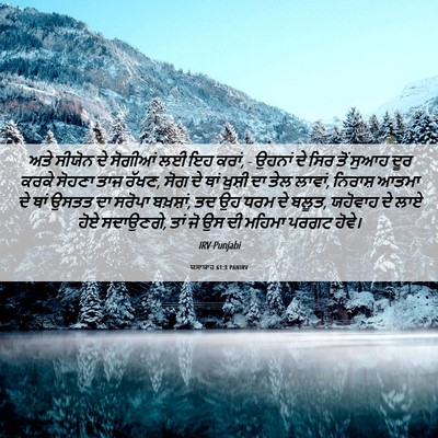 Picture 06 - ਯਸਾਯਾਹ 61:3 PANIRV - ਅਤੇ ਸੀਯੋਨ ਦੇ - Bible Verse Picture