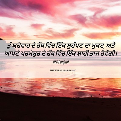 Picture 06 - ਯਸਾਯਾਹ 62:3 PANIRV - ਤੂੰ ਯਹੋਵਾਹ ਦੇ ਹੱਥ - Bible Verse Picture