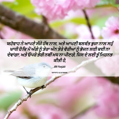 Picture 06 - ਯਸਾਯਾਹ 62:8 PANIRV - ਯਹੋਵਾਹ ਨੇ ਆਪਣੇ - Bible Verse Picture