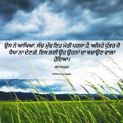 Picture 06 - ਯਸਾਯਾਹ 63:8 PANIRV - ਉਸ ਨੇ ਆਖਿਆ, - Bible Verse Picture