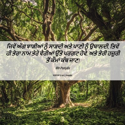 Picture 06 - ਯਸਾਯਾਹ 64:2 PANIRV - ਜਿਵੇਂ ਅੱਗ ਝਾੜੀਆਂ - Bible Verse Picture
