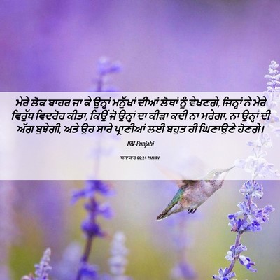 Picture 06 - ਯਸਾਯਾਹ 66:24 PANIRV - ਮੇਰੇ ਲੋਕ ਬਾਹਰ ਜਾ ਕੇ - Bible Verse Picture