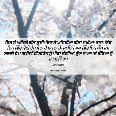 Picture 06 - ਯਸਾਯਾਹ 66:8 PANIRV - ਕਿਸ ਨੇ ਅਜਿਹੀ ਗੱਲ - Bible Verse Picture