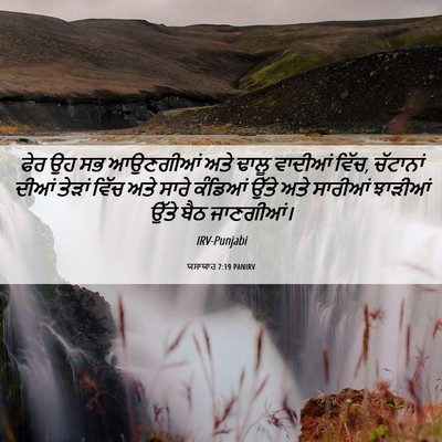 Picture 06 - ਯਸਾਯਾਹ 7:19 PANIRV - ਫੇਰ ਉਹ ਸਭ ਆਉਣਗੀਆਂ - Bible Verse Picture