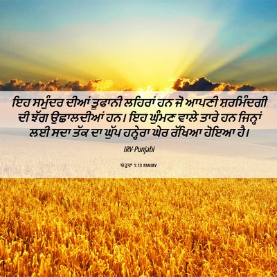 Picture 06 - ਯਹੂਦਾ 1:13 PANIRV - ਇਹ ਸਮੁੰਦਰ ਦੀਆਂ - Bible Verse Picture