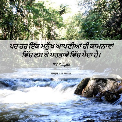 Picture 06 - ਯਾਕੂਬ 1:14 PANIRV - ਪਰ ਹਰ ਇੱਕ ਮਨੁੱਖ - Bible Verse Picture