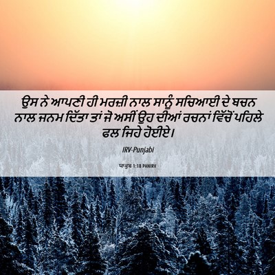 Picture 06 - ਯਾਕੂਬ 1:18 PANIRV - ਉਸ ਨੇ ਆਪਣੀ ਹੀ ਮਰਜ਼ੀ - Bible Verse Picture