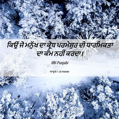 Picture 06 - ਯਾਕੂਬ 1:20 PANIRV - ਕਿਉਂ ਜੋ ਮਨੁੱਖ ਦਾ - Bible Verse Picture