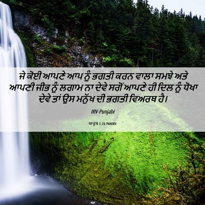 Picture 06 - ਯਾਕੂਬ 1:26 PANIRV - ਜੇ ਕੋਈ ਆਪਣੇ ਆਪ ਨੂੰ - Bible Verse Picture