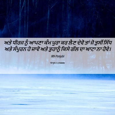 Picture 06 - ਯਾਕੂਬ 1:4 PANIRV - ਅਤੇ ਧੀਰਜ ਨੂੰ ਆਪਣਾ - Bible Verse Picture