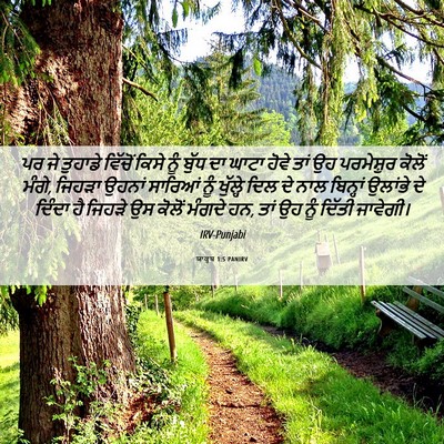 Picture 06 - ਯਾਕੂਬ 1:5 PANIRV - ਪਰ ਜੇ ਤੁਹਾਡੇ - Bible Verse Picture