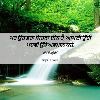 Picture 06 - ਯਾਕੂਬ 1:9 PANIRV - ਪਰ ਉਹ ਭਰਾ ਜਿਹੜਾ ਦੀਨ - Bible Verse Picture