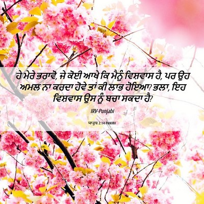 Picture 06 - ਯਾਕੂਬ 2:14 PANIRV - ਹੇ ਮੇਰੇ ਭਰਾਵੋ, ਜੇ - Bible Verse Picture