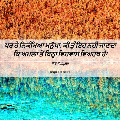 Picture 06 - ਯਾਕੂਬ 2:20 PANIRV - ਪਰ ਹੇ ਨਿਕੰਮਿਆ - Bible Verse Picture