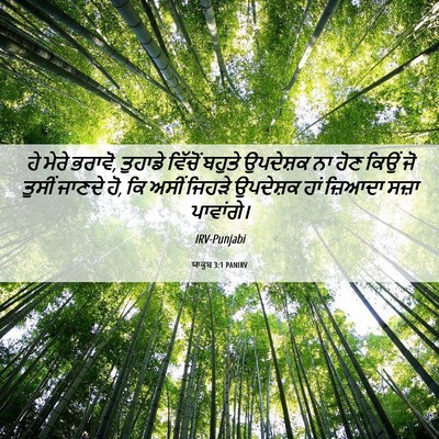 Picture 06 - ਯਾਕੂਬ 3:1 PANIRV - ਹੇ ਮੇਰੇ ਭਰਾਵੋ, - Bible Verse Picture
