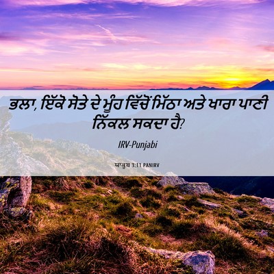 Picture 06 - ਯਾਕੂਬ 3:11 PANIRV - ਭਲਾ, ਇੱਕੋ ਸੋਤੇ ਦੇ - Bible Verse Picture
