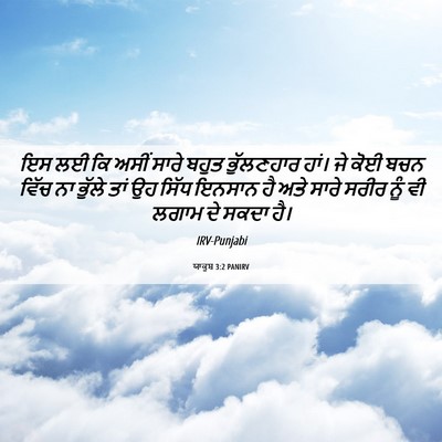 Picture 06 - ਯਾਕੂਬ 3:2 PANIRV - ਇਸ ਲਈ ਕਿ ਅਸੀਂ ਸਾਰੇ - Bible Verse Picture