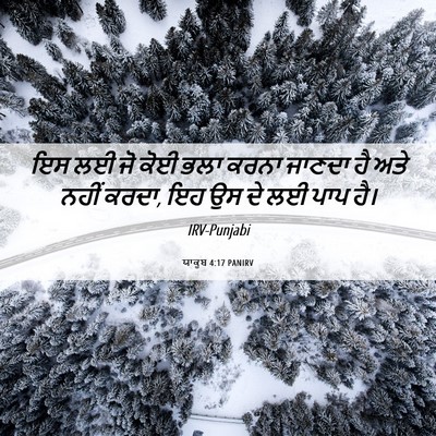 Picture 06 - ਯਾਕੂਬ 4:17 PANIRV - ਇਸ ਲਈ ਜੋ ਕੋਈ ਭਲਾ - Bible Verse Picture