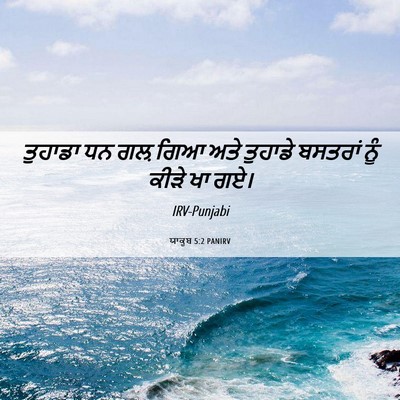 Picture 06 - ਯਾਕੂਬ 5:2 PANIRV - ਤੁਹਾਡਾ ਧਨ ਗਲ਼ ਗਿਆ - Bible Verse Picture