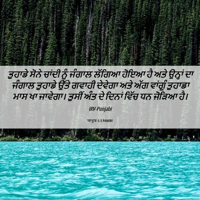 Picture 06 - ਯਾਕੂਬ 5:3 PANIRV - ਤੁਹਾਡੇ ਸੋਨੇ ਚਾਂਦੀ - Bible Verse Picture