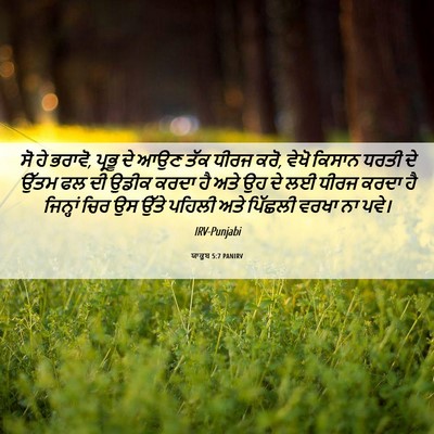 Picture 06 - ਯਾਕੂਬ 5:7 PANIRV - ਸੋ ਹੇ ਭਰਾਵੋ, ਪ੍ਰਭੂ - Bible Verse Picture