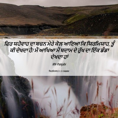 Picture 06 - ਯਿਰਮਿਯਾਹ 1:11 PANIRV - ਫਿਰ ਯਹੋਵਾਹ ਦਾ ਬਚਨ - Bible Verse Picture