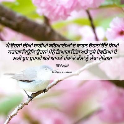 Picture 06 - ਯਿਰਮਿਯਾਹ 1:16 PANIRV - ਮੈਂ ਉਹਨਾਂ ਦੀਆਂ - Bible Verse Picture
