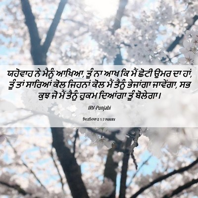 Picture 06 - ਯਿਰਮਿਯਾਹ 1:7 PANIRV - ਯਹੋਵਾਹ ਨੇ ਮੈਨੂੰ - Bible Verse Picture