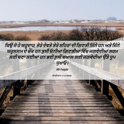 Picture 06 - ਯਿਰਮਿਯਾਹ 11:13 PANIRV - ਕਿਉਂ ਜੋ ਹੇ ਯਹੂਦਾਹ, - Bible Verse Picture