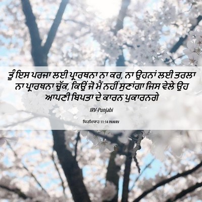 Picture 06 - ਯਿਰਮਿਯਾਹ 11:14 PANIRV - ਤੂੰ ਇਸ ਪਰਜਾ ਲਈ - Bible Verse Picture