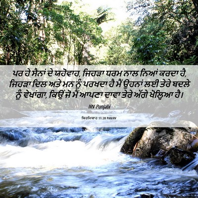 Picture 06 - ਯਿਰਮਿਯਾਹ 11:20 PANIRV - ਪਰ ਹੇ ਸੈਨਾਂ ਦੇ - Bible Verse Picture
