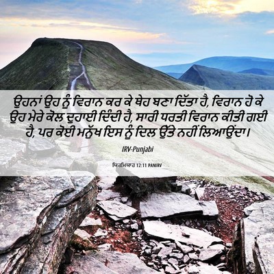 Picture 06 - ਯਿਰਮਿਯਾਹ 12:11 PANIRV - ਉਹਨਾਂ ਉਹ ਨੂੰ ਵਿਰਾਨ - Bible Verse Picture