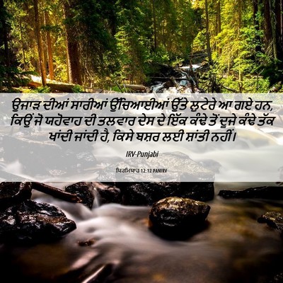 Picture 06 - ਯਿਰਮਿਯਾਹ 12:12 PANIRV - ਉਜਾੜ ਦੀਆਂ ਸਾਰੀਆਂ - Bible Verse Picture