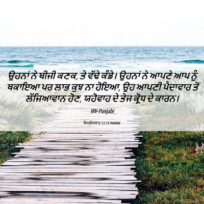 Picture 06 - ਯਿਰਮਿਯਾਹ 12:13 PANIRV - ਉਹਨਾਂ ਨੇ ਬੀਜੀ ਕਣਕ, - Bible Verse Picture