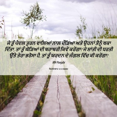 Picture 06 - ਯਿਰਮਿਯਾਹ 12:5 PANIRV - ਜੇ ਤੂੰ ਪੈਦਲ ਤੁਰਨ - Bible Verse Picture