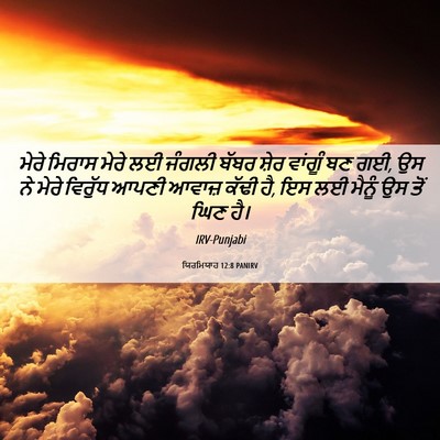 Picture 06 - ਯਿਰਮਿਯਾਹ 12:8 PANIRV - ਮੇਰੇ ਮਿਰਾਸ ਮੇਰੇ ਲਈ - Bible Verse Picture