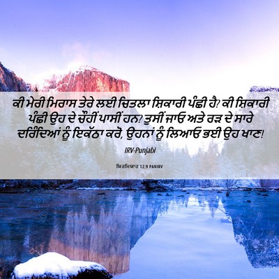 Picture 06 - ਯਿਰਮਿਯਾਹ 12:9 PANIRV - ਕੀ ਮੇਰੀ ਮਿਰਾਸ ਤੇਰੇ - Bible Verse Picture