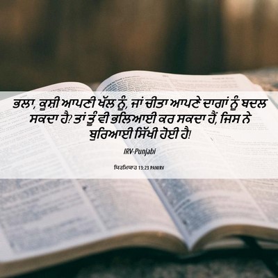 Picture 06 - ਯਿਰਮਿਯਾਹ 13:23 PANIRV - ਭਲਾ, ਕੂਸ਼ੀ ਆਪਣੀ ਖੱਲ - Bible Verse Picture
