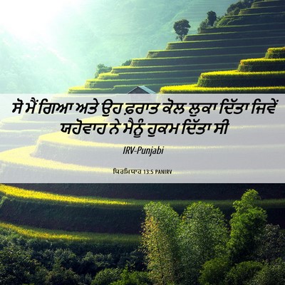 Picture 06 - ਯਿਰਮਿਯਾਹ 13:5 PANIRV - ਸੋ ਮੈਂ ਗਿਆ ਅਤੇ ਉਹ - Bible Verse Picture