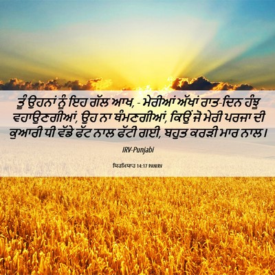 Picture 06 - ਯਿਰਮਿਯਾਹ 14:17 PANIRV - ਤੂੰ ਉਹਨਾਂ ਨੂੰ ਇਹ - Bible Verse Picture