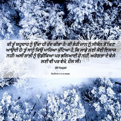 Picture 06 - ਯਿਰਮਿਯਾਹ 14:19 PANIRV - ਕੀ ਤੂੰ ਯਹੂਦਾਹ ਨੂੰ - Bible Verse Picture