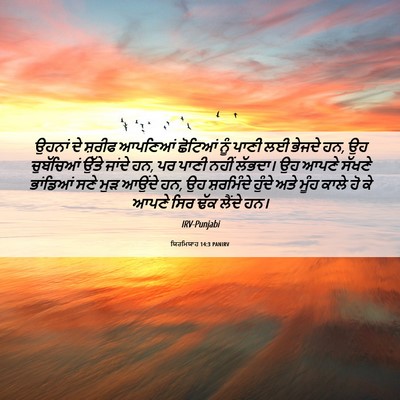 Picture 06 - ਯਿਰਮਿਯਾਹ 14:3 PANIRV - ਉਹਨਾਂ ਦੇ ਸ਼ਰੀਫ - Bible Verse Picture