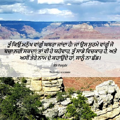 Picture 06 - ਯਿਰਮਿਯਾਹ 14:9 PANIRV - ਤੂੰ ਕਿਉਂ ਮਨੁੱਖ - Bible Verse Picture