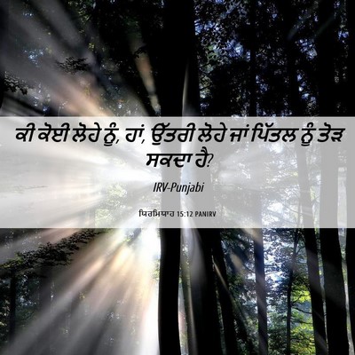 Picture 06 - ਯਿਰਮਿਯਾਹ 15:12 PANIRV - ਕੀ ਕੋਈ ਲੋਹੇ ਨੂੰ, - Bible Verse Picture