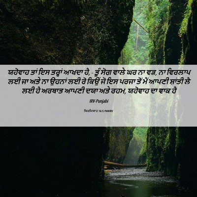 Picture 06 - ਯਿਰਮਿਯਾਹ 16:5 PANIRV - ਯਹੋਵਾਹ ਤਾਂ ਇਸ - Bible Verse Picture