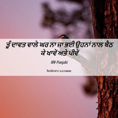 Picture 06 - ਯਿਰਮਿਯਾਹ 16:8 PANIRV - ਤੂੰ ਦਾਵਤ ਵਾਲੇ ਘਰ ਨਾ - Bible Verse Picture